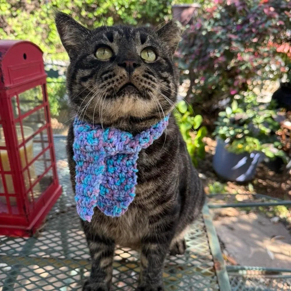 Adorable Handmade Blue and Purple Cat / Dog Scarf